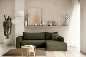 #Aragon_39 #Desni