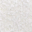 Ascot NATA