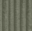 Tilia 37