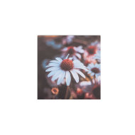 slika ziv s motivom proljetnog cvijeća