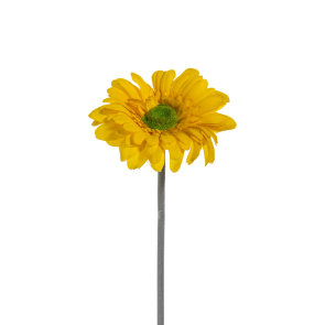 žuti cvijet dekoracija