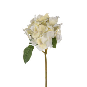 bijela mala hortenzija dekoracija