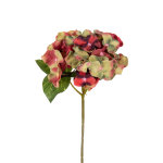 mala smeđa hortenzija cvijet dekoracija