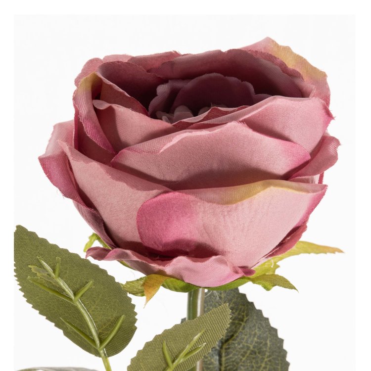 umjetna ruža krem uvećani prikaz