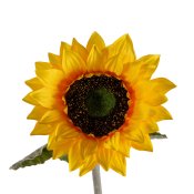 suncokret dekorativna umjetna biljka detalj cvijeta