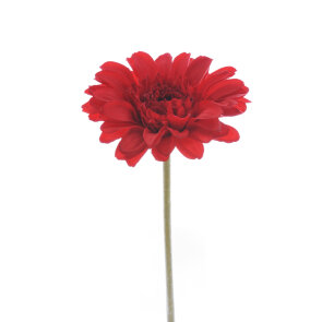 crveni cvijet dekoracija