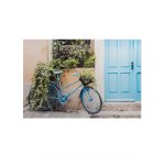 slika summer s motivom plavog bicikla